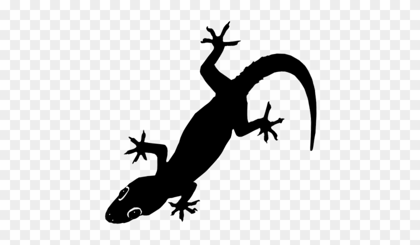 Black Lizard India #1187721