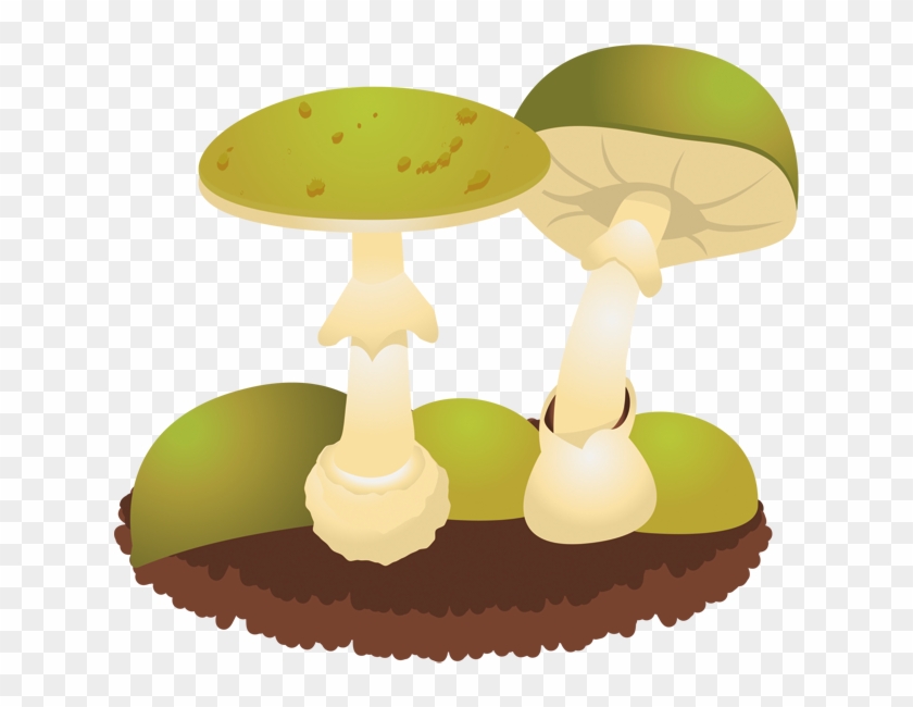 Green Mushroom Creative Image - Mushroom #1187876