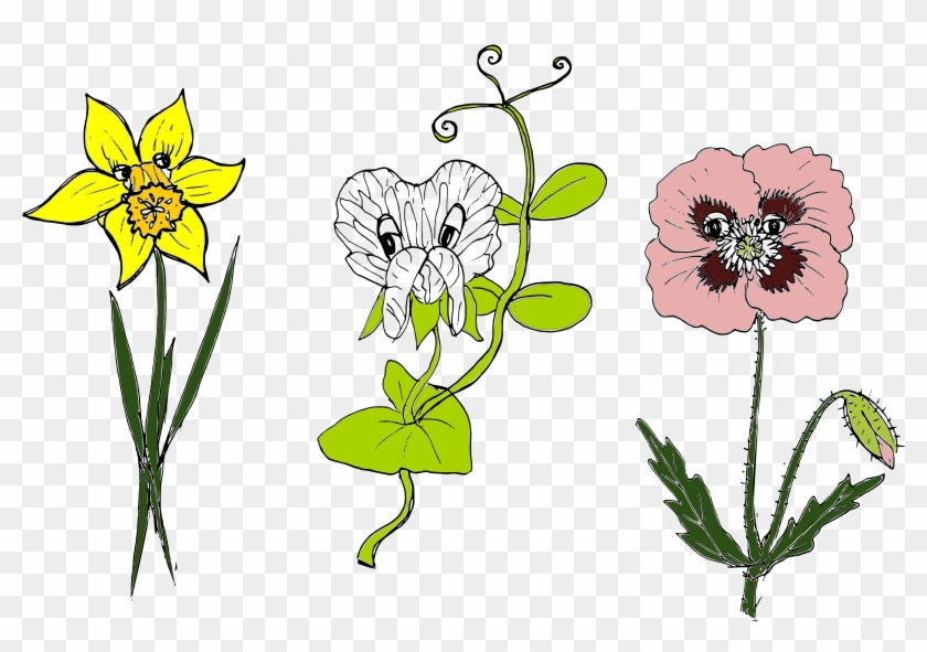 Image Featured In My Presentation “individual Variance - Anemone #1188312