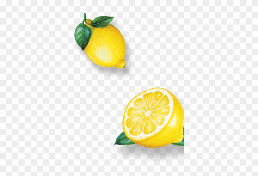 D Lemon Rechts - Lemon #1189946