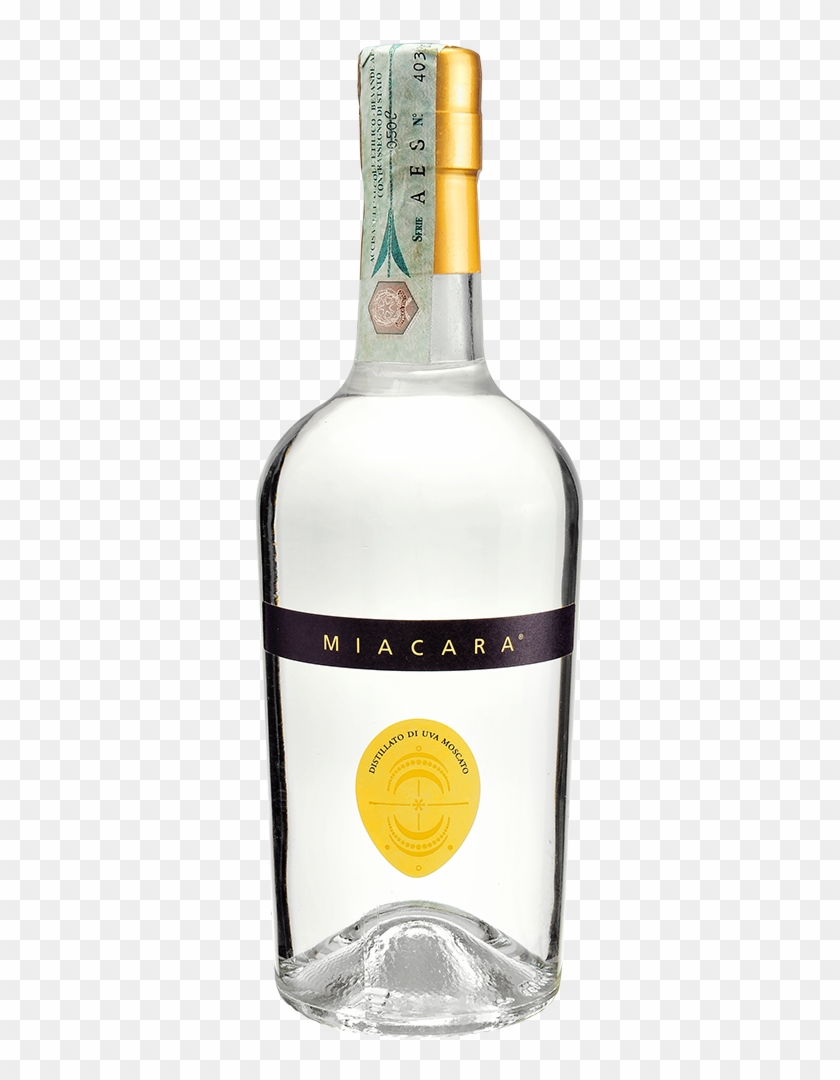 Muscat #1190249