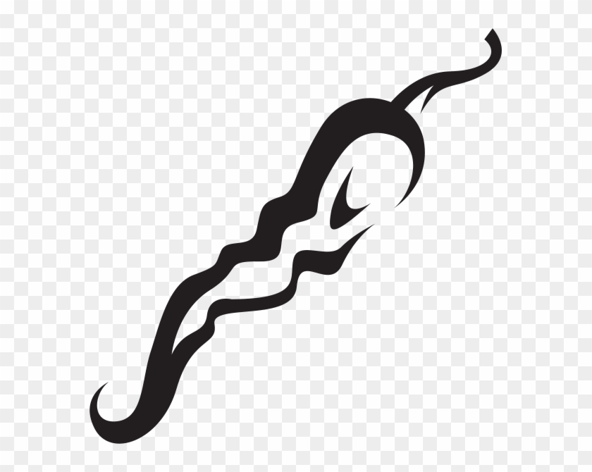 Line Animal Black M Clip Art - Line Animal Black M Clip Art #1191195
