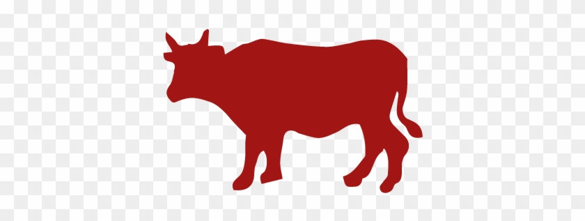Storm Ranch - Dairy Cow #1191699