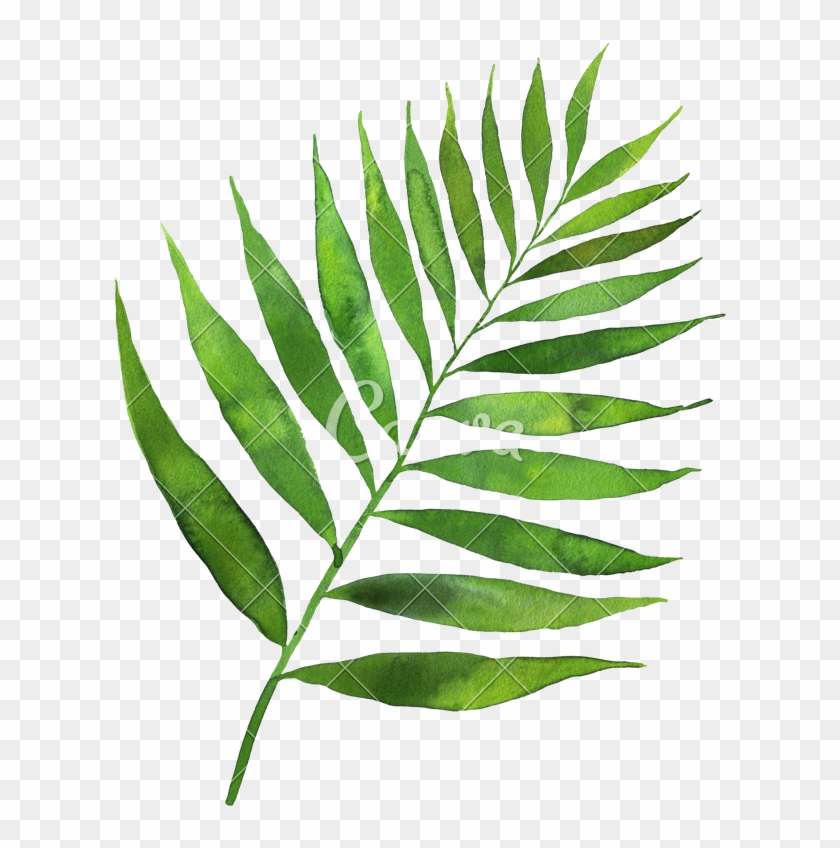 Green Leaf Watercolor - Watercolor Painting #1192984
