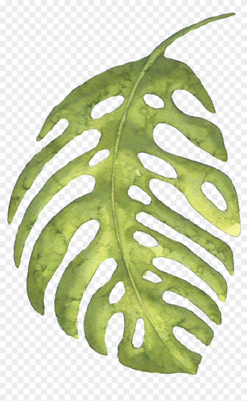 The Green Banana Leaves Large Hand-painted Watercolor - Escape: Wild Design:watercolor: Journal: Dairy: Composition #1192995