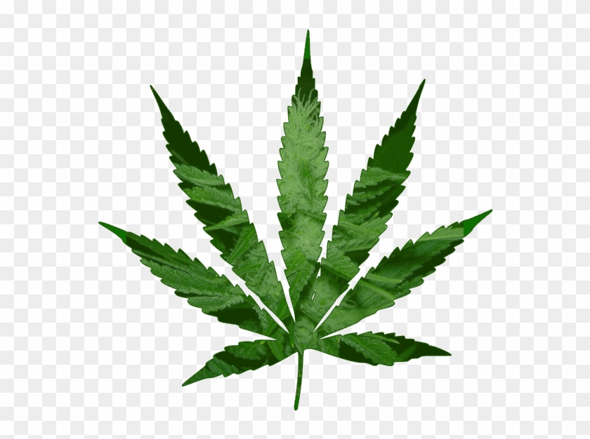 Pot Plant Clipart Animated Gif - Cannabis Leaf #1193030