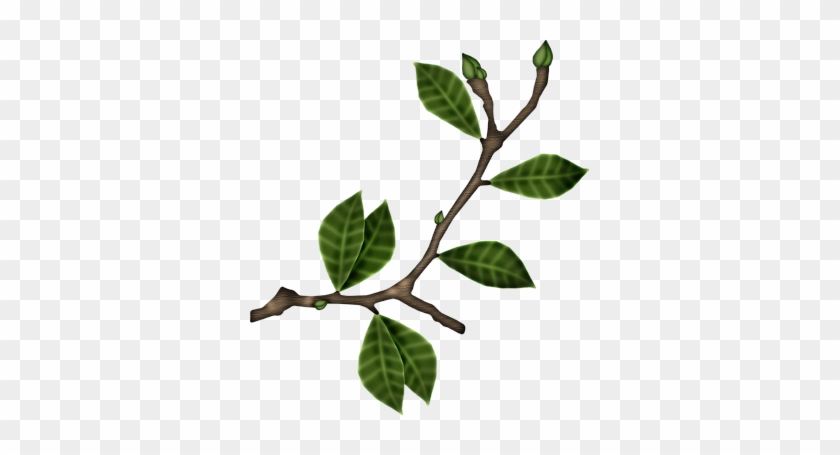 Tubes Vegetation - Clip Art #1193509
