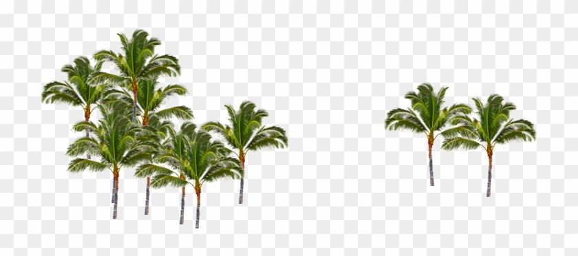 Toggle Navigation - Attalea Speciosa #1193530