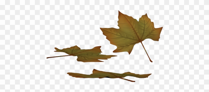 Image Text - Autumn #1193814