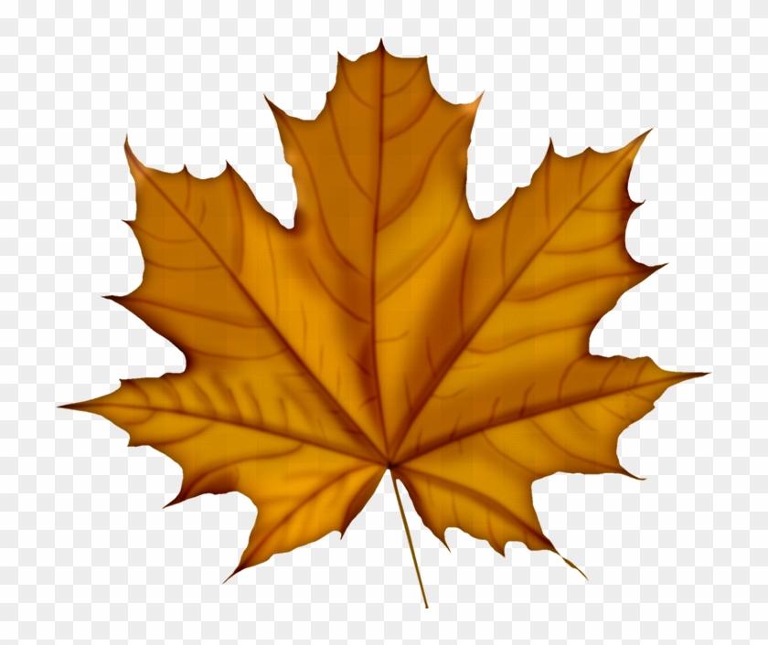 Automne - Feuille D Automne Png #1193831