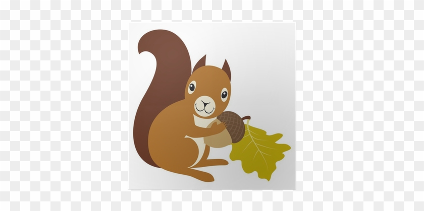 Cute Little Squirrel Looking At You Cute Little Squirrel #1193893