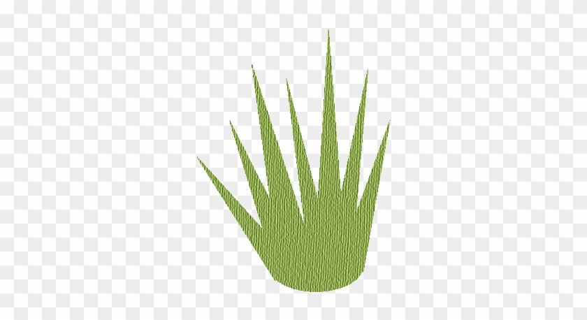 Grass - - Tussock Grass Transparent Png #1194046