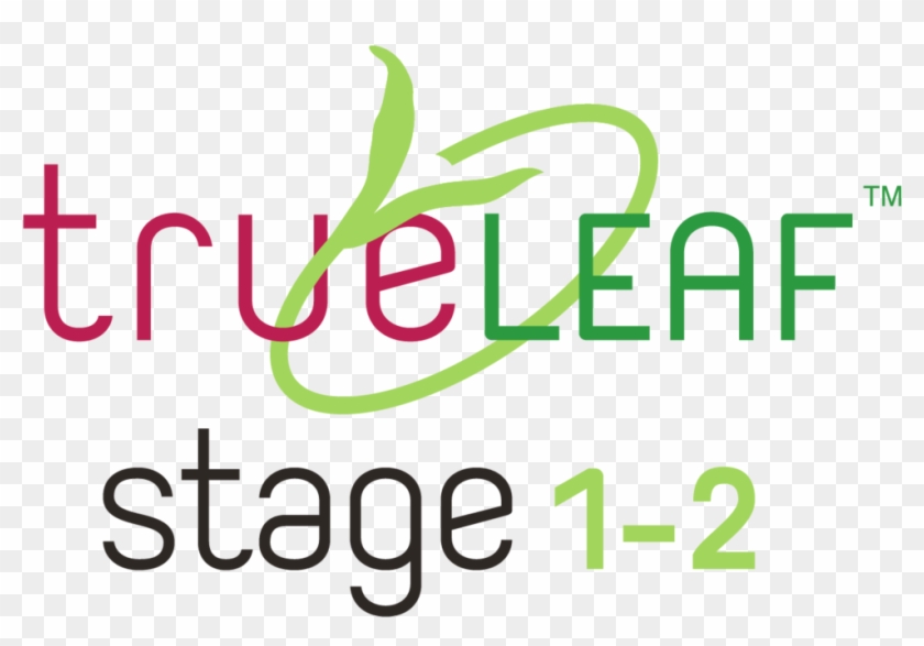 True Leaf Stage Graphics-05 - True Leaf Stage Graphics-05 #1194082