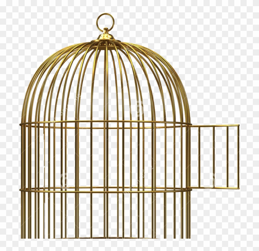 Birdcage Clip Art - Open Birdcage #1194284