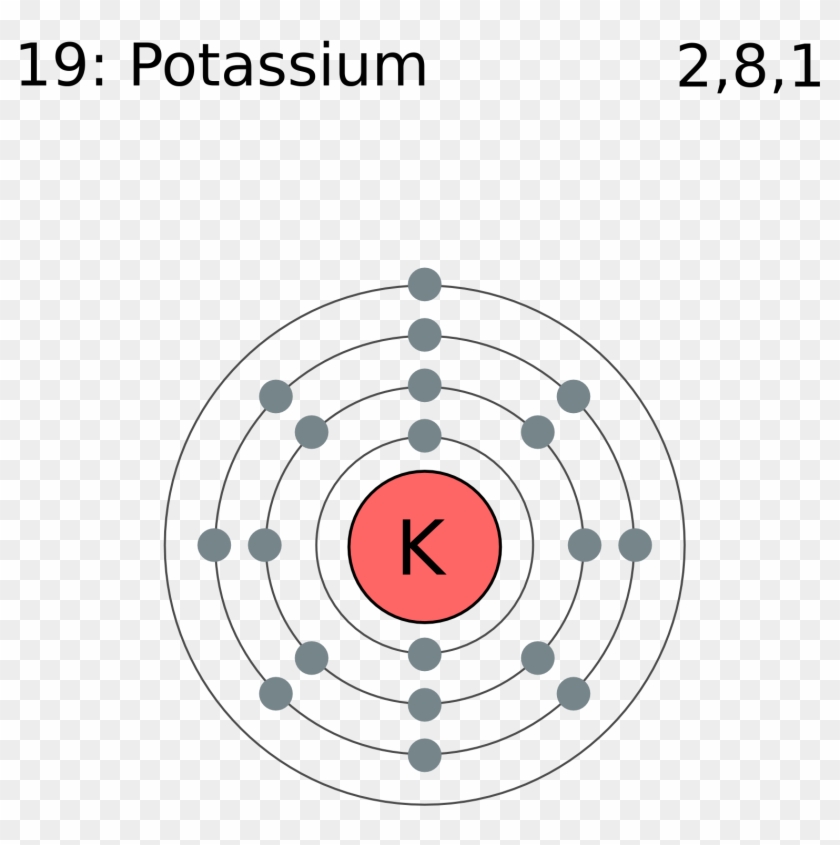File Electron Shell 019 Potassium Png Wikimedia Commons - Bohr Model Of Xenon #1194370