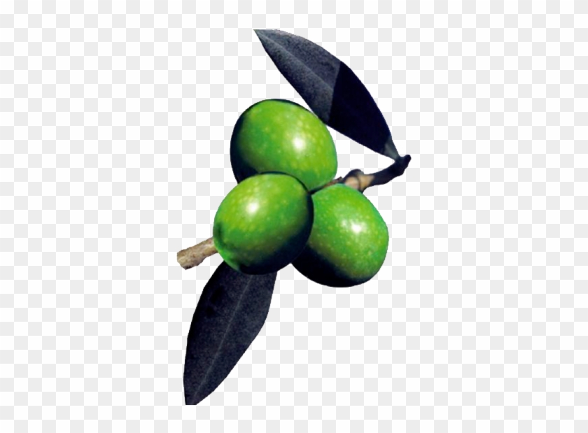 Olive Png - Olive #1195001