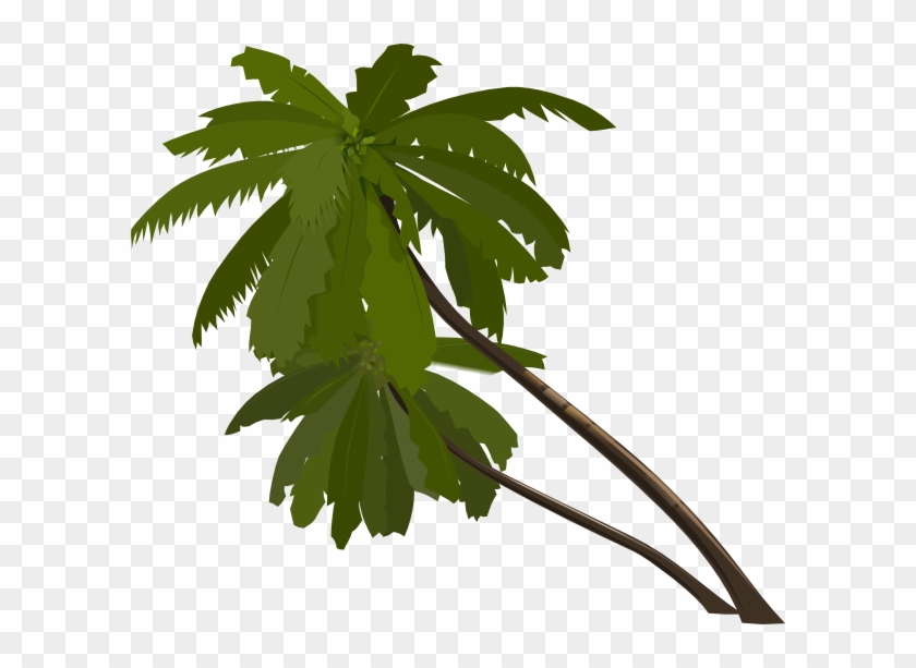 Cartoon Jungle Tree Png #1195128