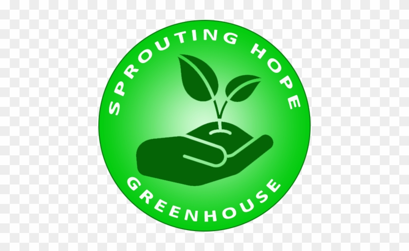 Plant Seeds - Privacy Policy #1195453