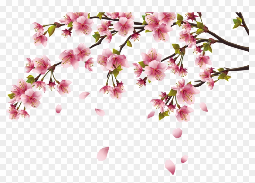 Cherry Blossom Peach Blossom - 5 Star Super Deals 4036685 Large Window Bird Feeder #1195472