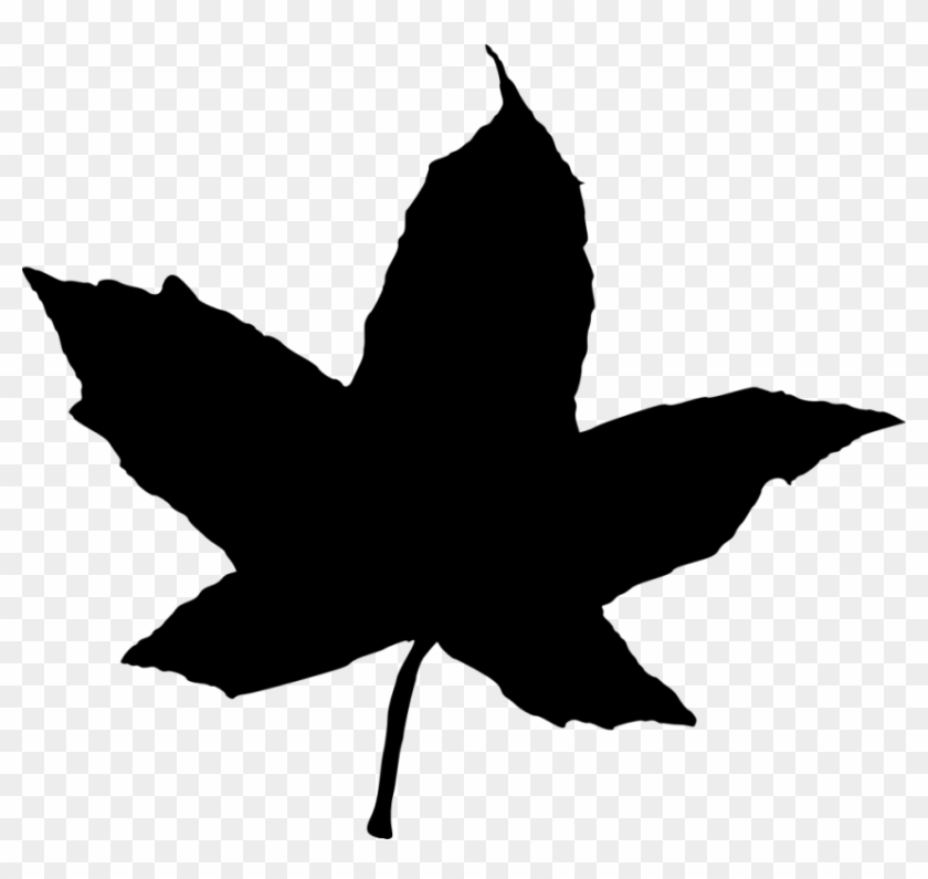 Free Png Leaf Silhouette Png Images Transparent - Lisc Szablon #1195890