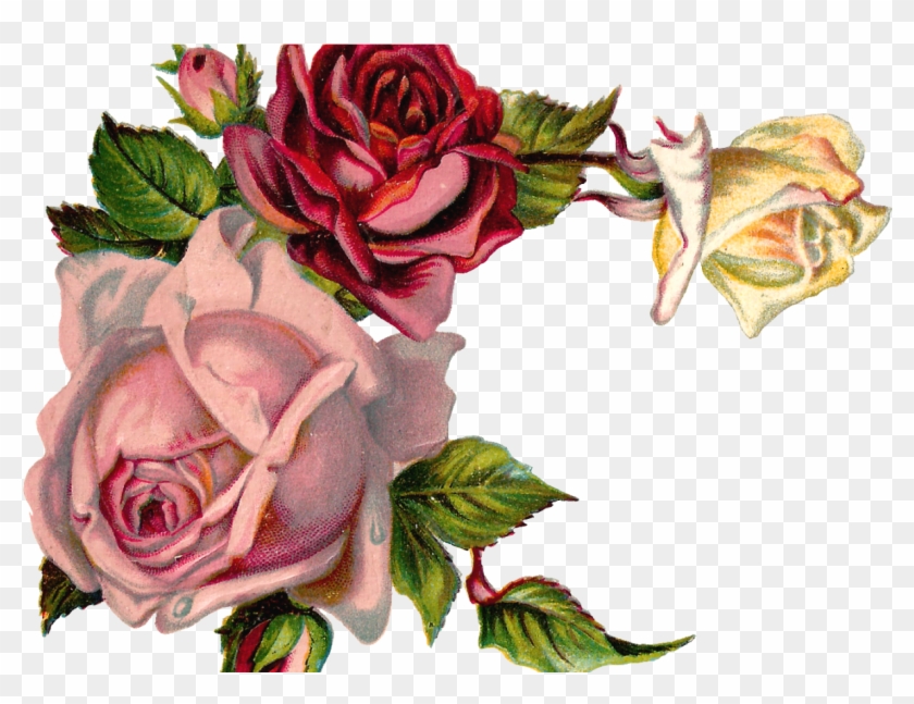 Free Digital Flower Pink Rose Corner Design - Vintage Flower Corner Png #1196025