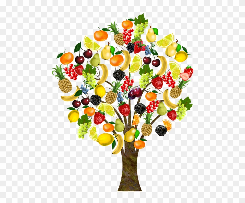 Tree Of Life Clipart 27, - Arbol De Frutas Png #1196166