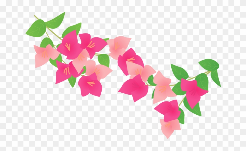 Bougainvillea Plants Petal - ブーゲンビリア イラスト #1196212