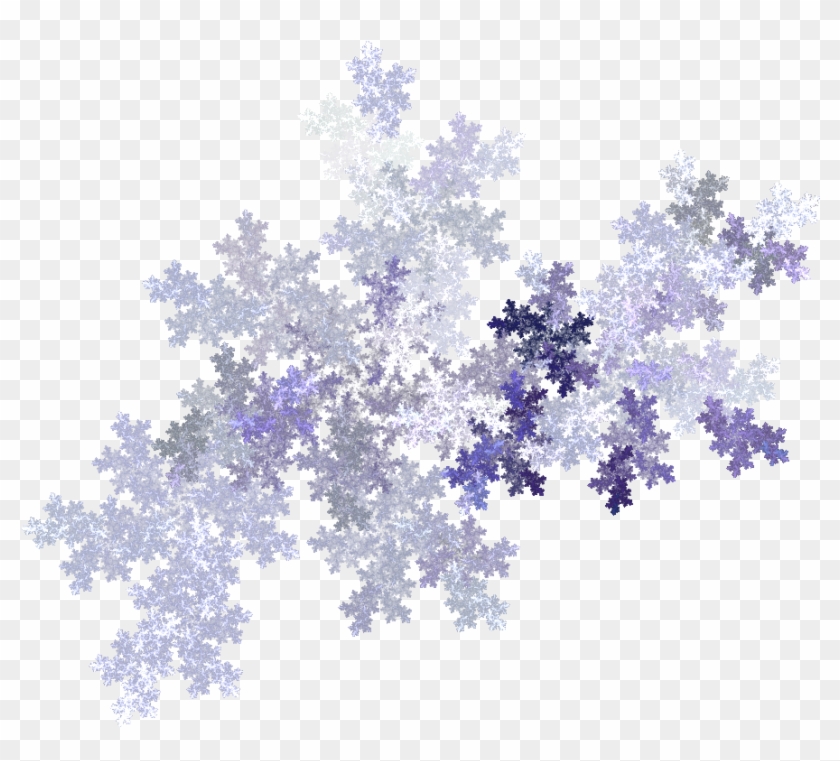 Lilac #1196265