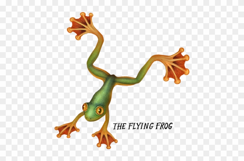 <3 Frog <3 - Art #1196564