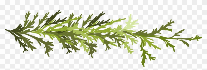 Twig Leaf Clip Art - Clip Art #1197897