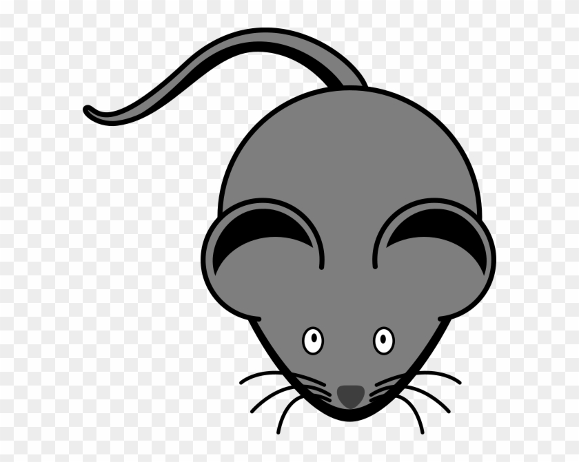 Raton Gris #1198987