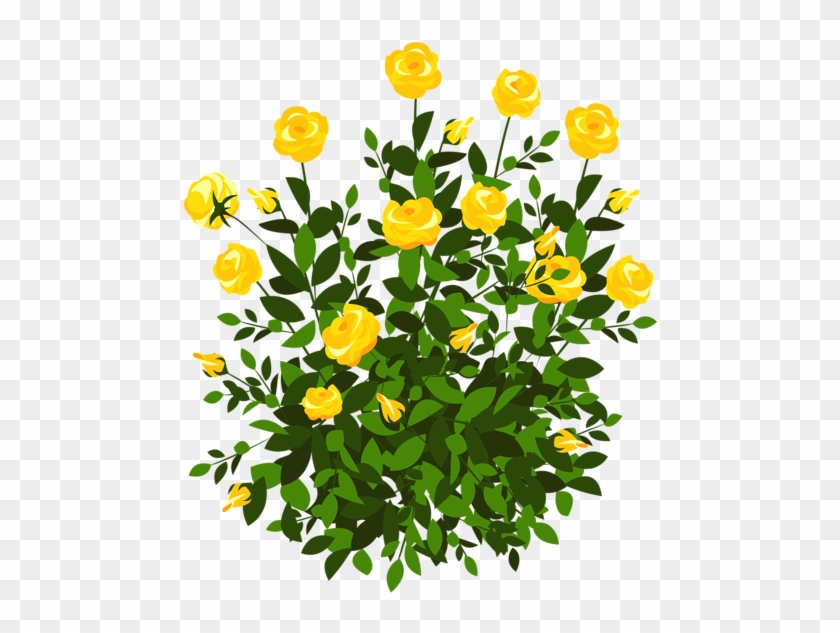 Yellow Rose Bush Png Clipart Picture - Flower Plant Png Clipart #1199050