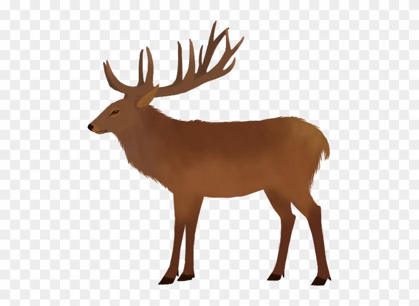 Virgil Vector - - Elk #1200036