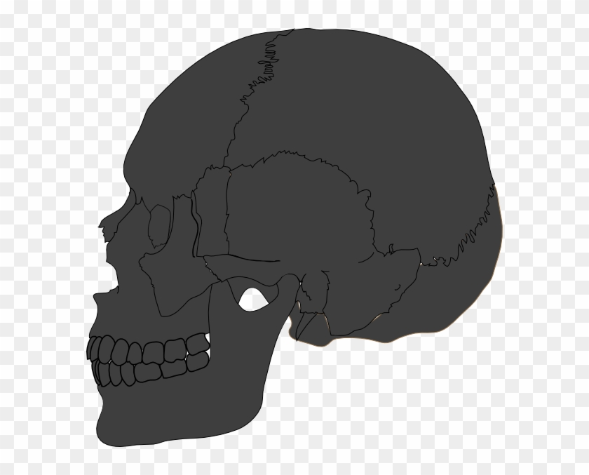 Skull #1200916