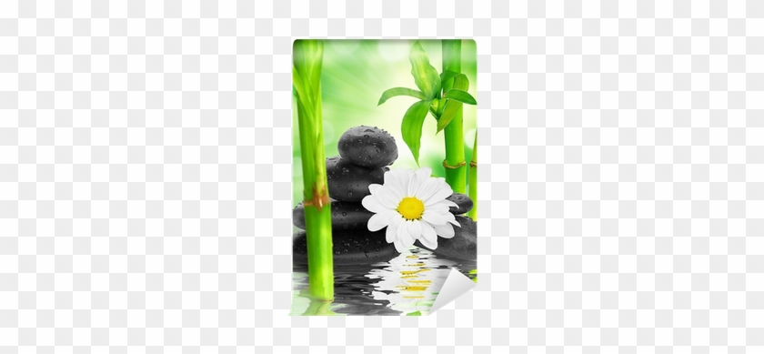 Go To Image - Poster: Merzlyakova's Spa Background - Black Stones #1201084