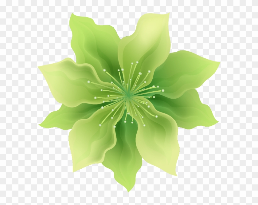 Png形式でダウンロード - Clematis #1201152