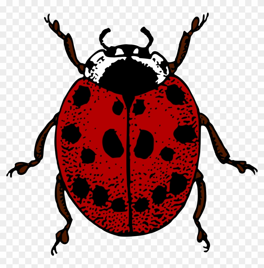 Big Image - Clip Art #1201365
