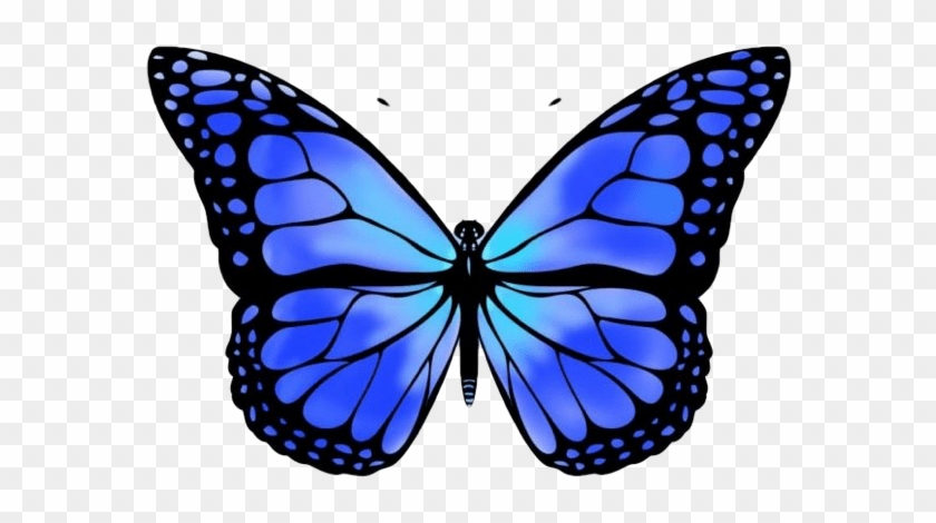 I First Play With Particle Manager, And It Brings Some - Purple Blue Monarch Butterfly #1202004