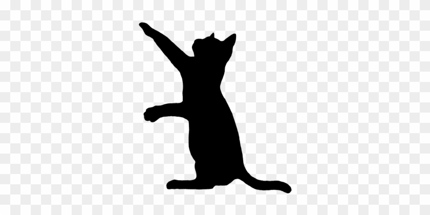Picture - Cat Silhouette Png #1202241