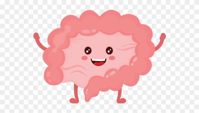 Large Intestine Gastrointestinal Tract Vector Graphics - Happy Intestines #1202813