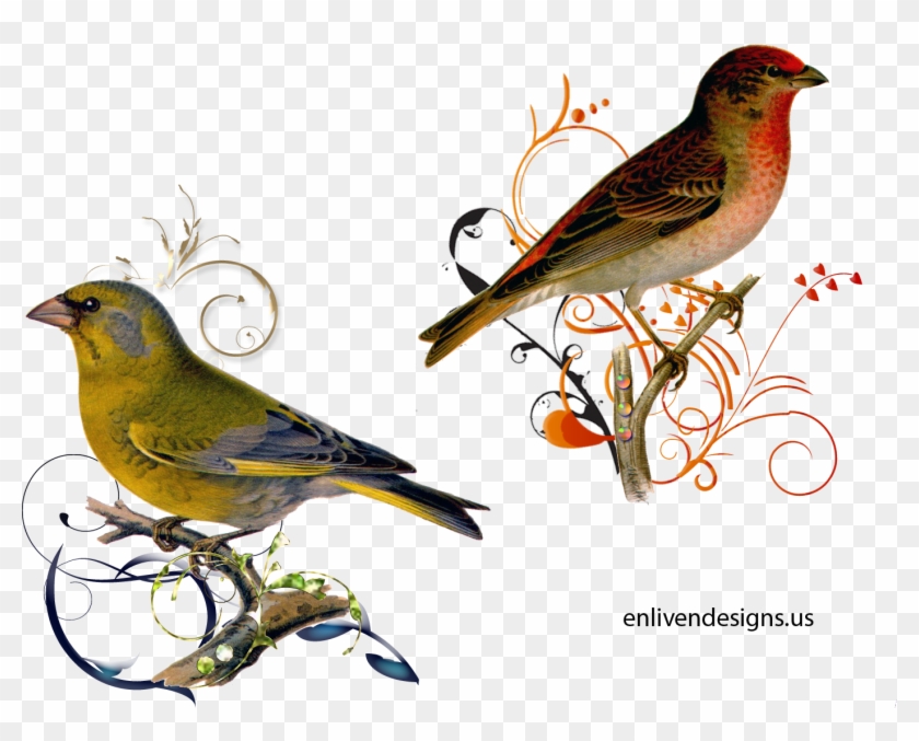Bird Illustration - Bird On A Dictionary Page Background Art Glass Pendant #1202879
