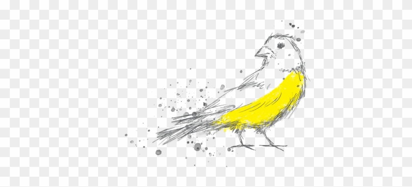 Bird #1202909