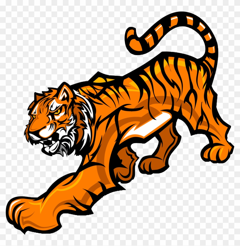 Walking Tiger - Williston Tiger #1203070