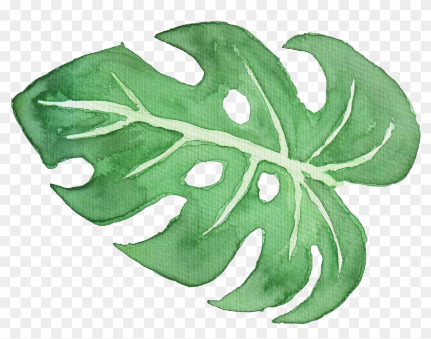 Vine #1203658