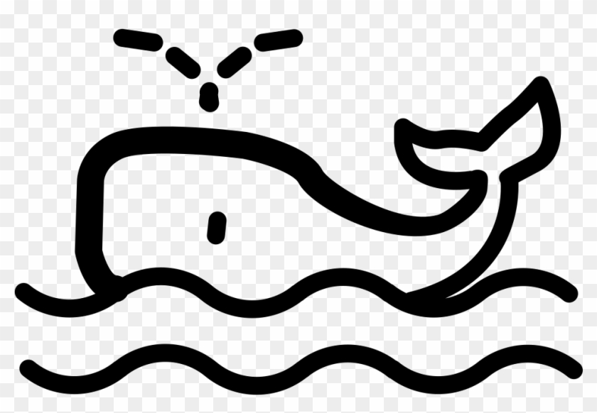 Whale Watching Comments - Whale Watching Comments #1203727
