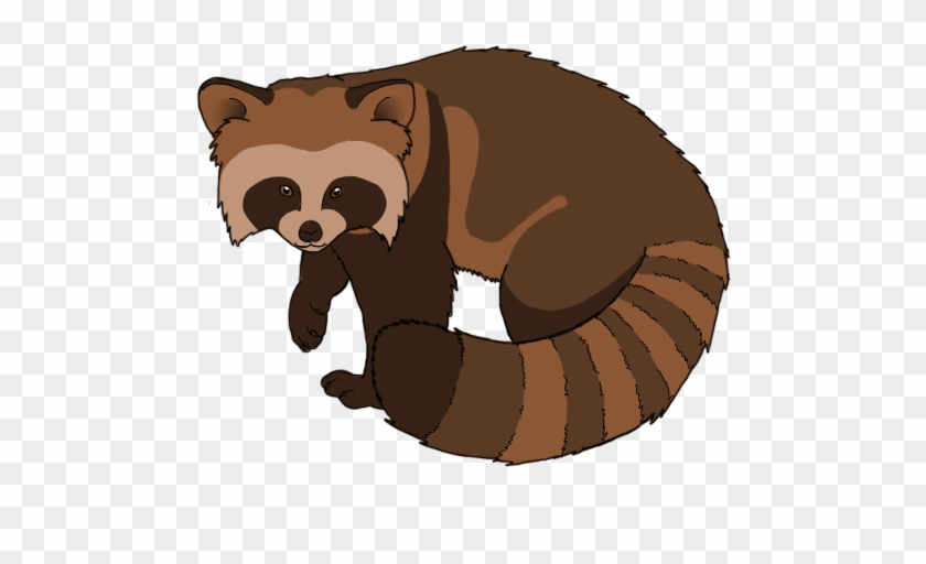 Raccoon Neutral - Portable Network Graphics #1204710