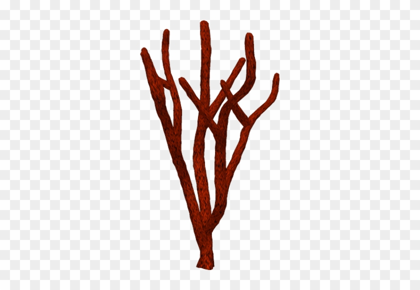 Coral 04 By Clipartcotttage - Clip Art #1205338