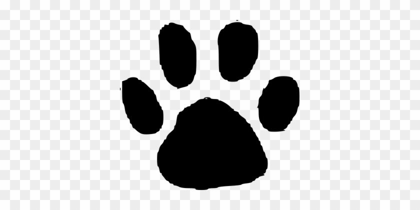 Lion Footsteps Drawing - Cafepress Custom Paw Print Template Throw Pillow #1205762