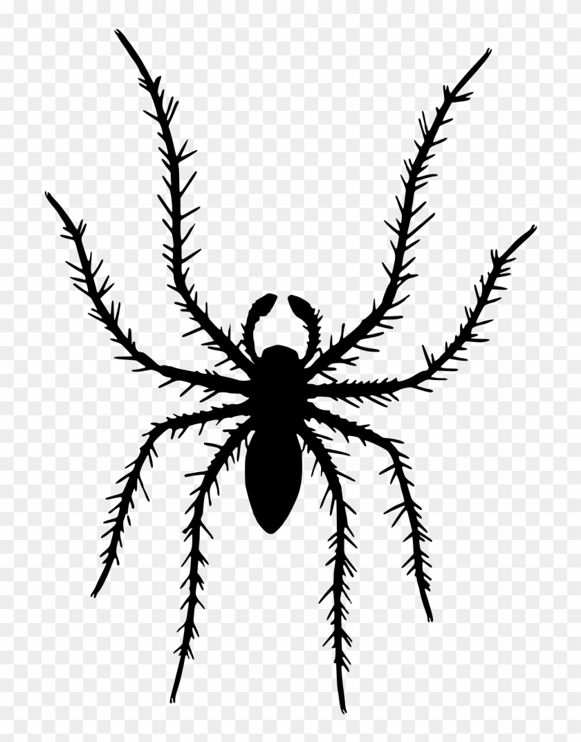 Spider Silhouette - Clip Art #1206270