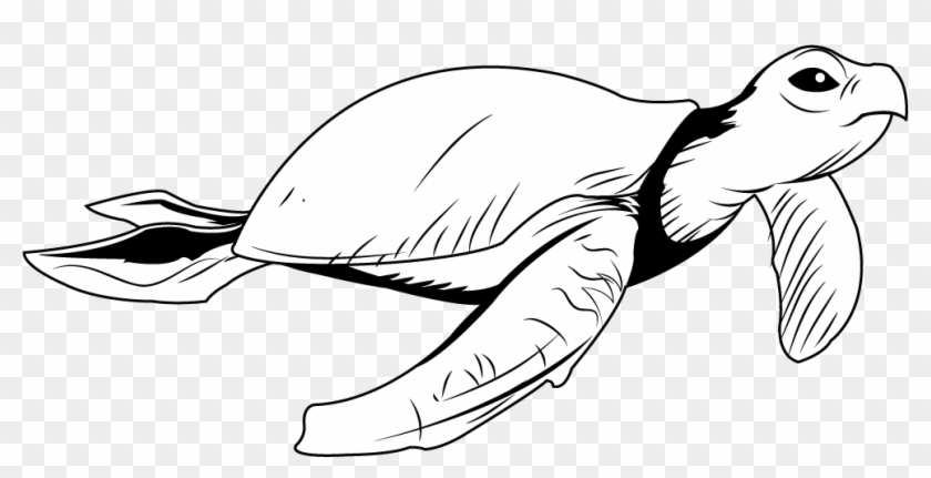 A Black And White Illustration Of A Sea Turtle - Sea Turtle #1206788